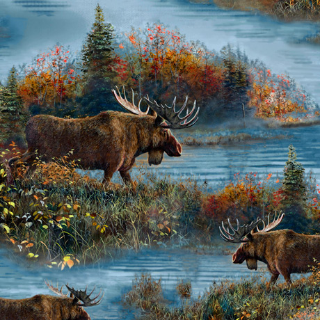 MOOSE COUNTRY            